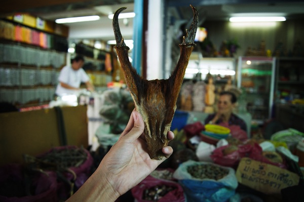 Tha Phrachan Amulet Market