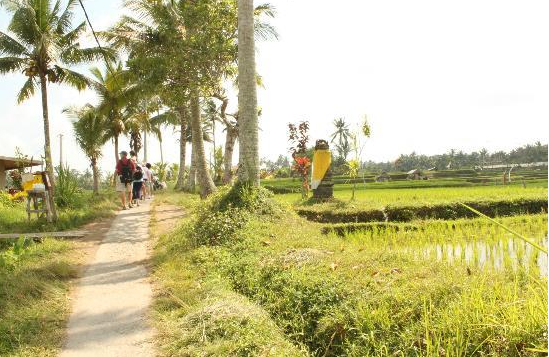 Bali Bird Walk