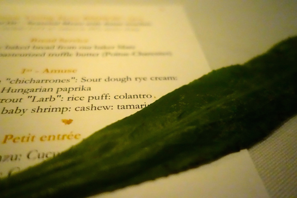 When I asked a waitress what ‘colantro’ was, Darren himself came by with an actual colantro leaf, and explained it was a kind of long leaf coriander. That was nice. 