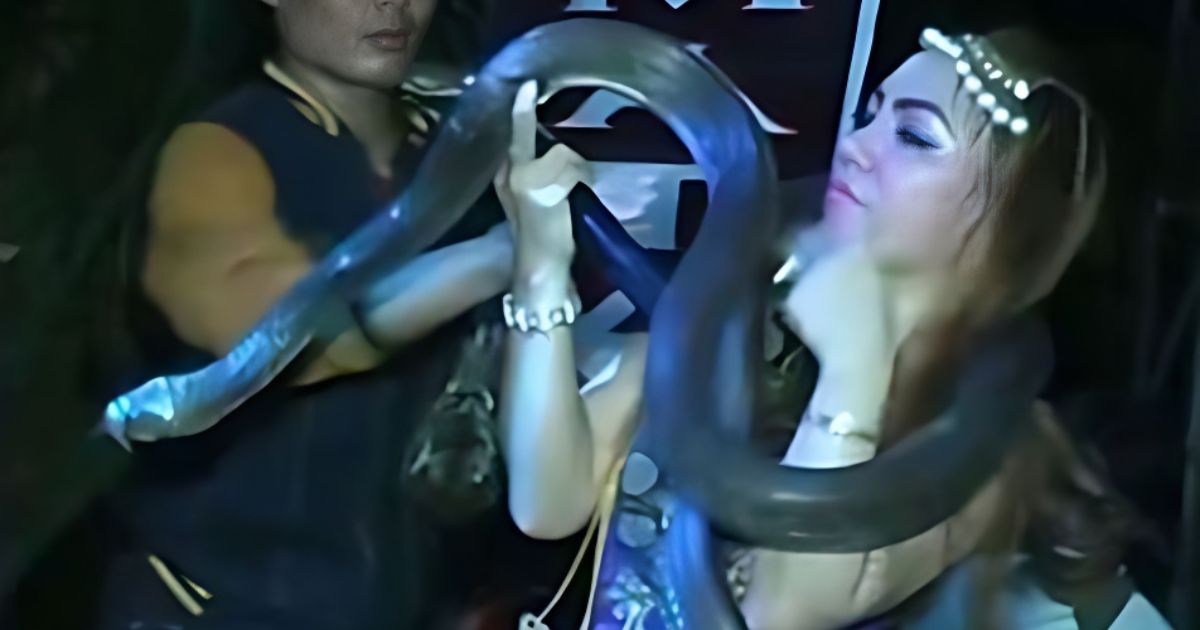 Footage of a previous performance by dangdut singer Irma Bule in which she she danced with pythons. Screengrab: Youtube