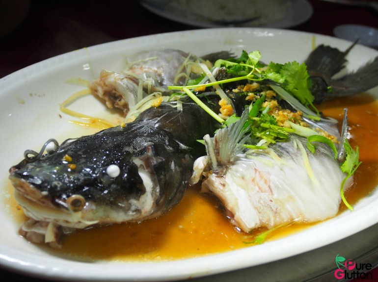 Steamed Cat Fish