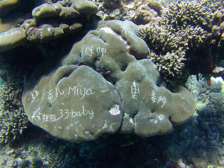 Coral vandalized by careless tourists in a photo gone viral across Bali social media in Sept. 2016 after it was shared by a Karangasem-based dive school.  