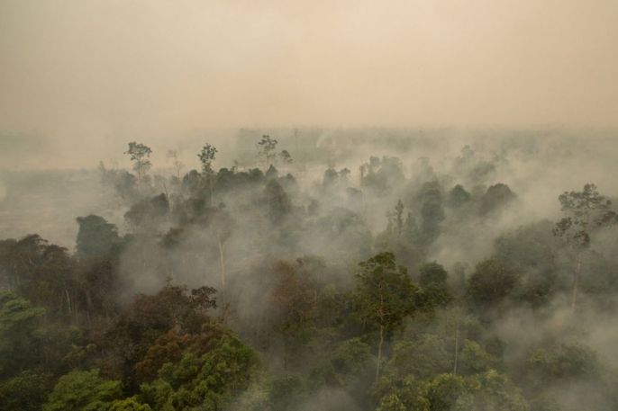 Smoke from forest fires just outside of Palangkaraya, Central Kalimantan, in November 2015. Photo: Alexander Hotz / Coconuts Media