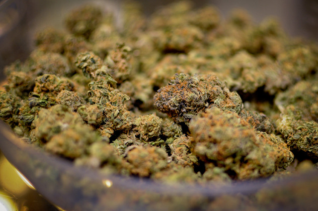 Marijuana. Photo: Media library.