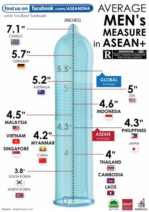 Infographic Sizes Up Asean Communitys Stature Of Penis -3839