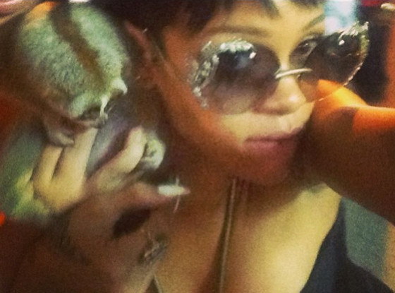 Rihanna regrettably took selfies with a slow loris when she visited Phuket in 2013. Photo: @badgirlriri Instagram