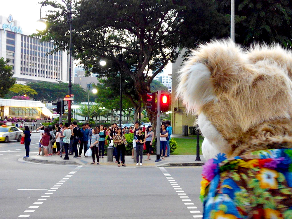 Furry walking in Singapore