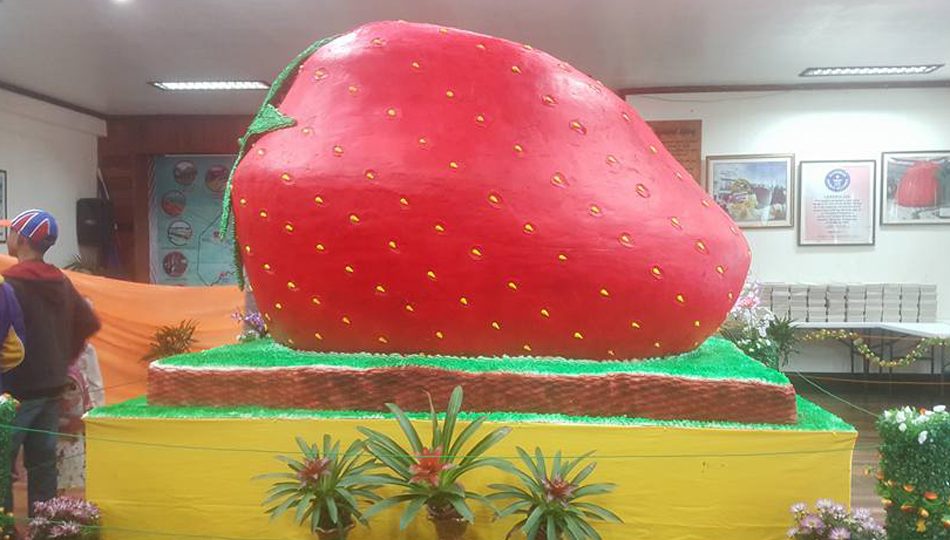 The giant strawberry cake is part of La Trinidad’s annual Strawberry Festival. PHOTO: ABS-CBN News/Mae Cornes