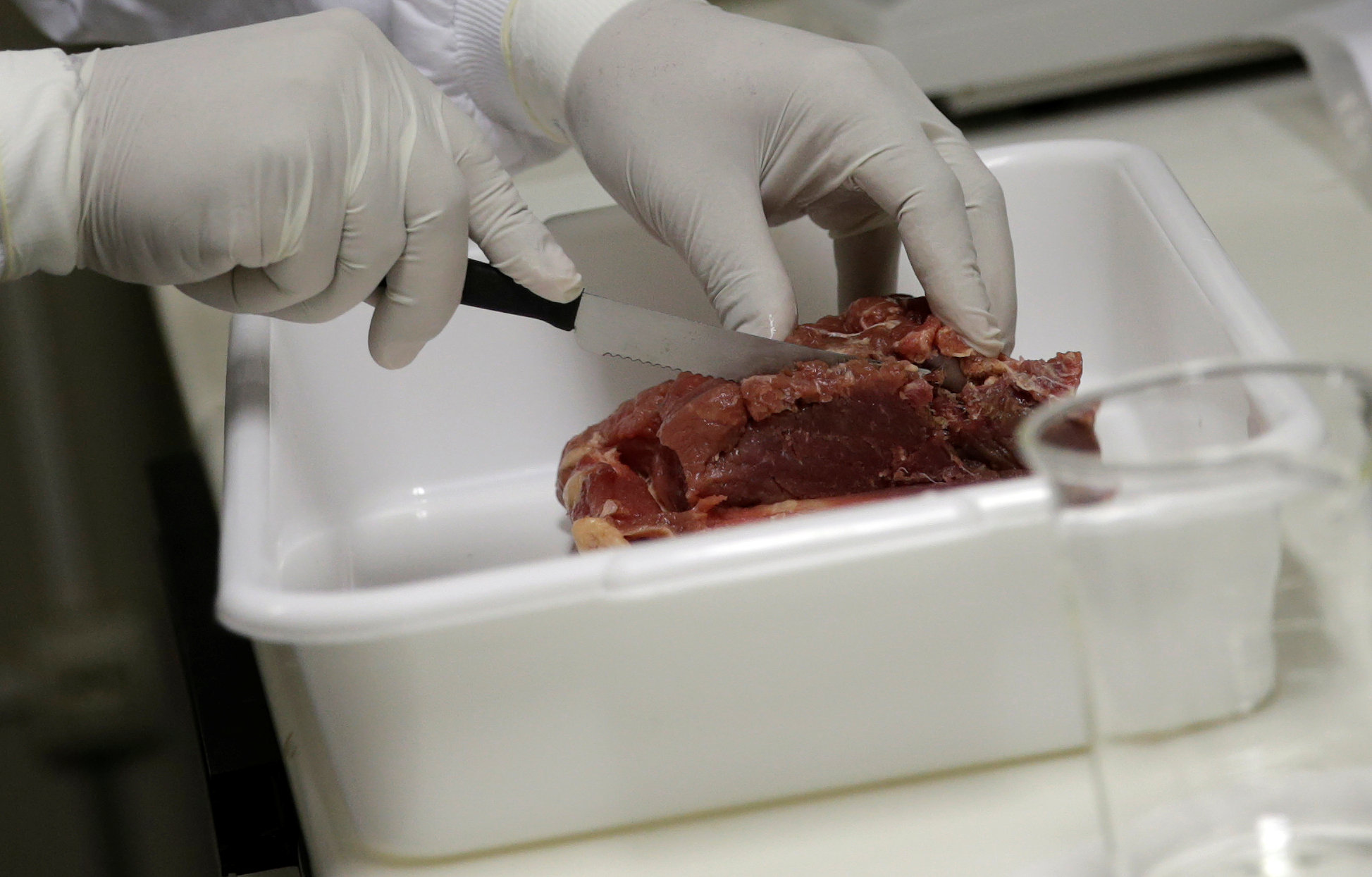 A veterinarian analyses a piece of meat from a Brazilian supermarket, at a veterinary laboratory with the public health department in Rio de Janeiro, Brazil, March 20, 2017. Photo: Ricardo Moraes/Reuters
