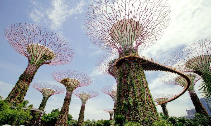 Gardens by the Bay, where Tulipmania is happening. Photo: <a href=