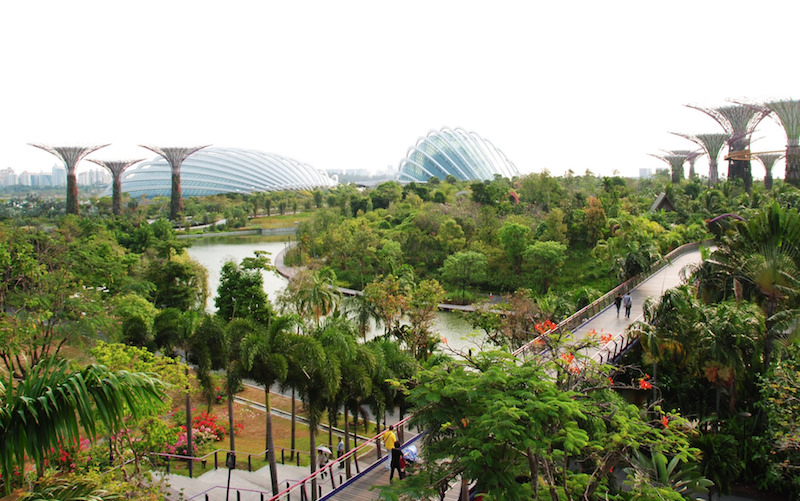 An overview of Gardens by the Bay. Photo: LWYang / Flickr