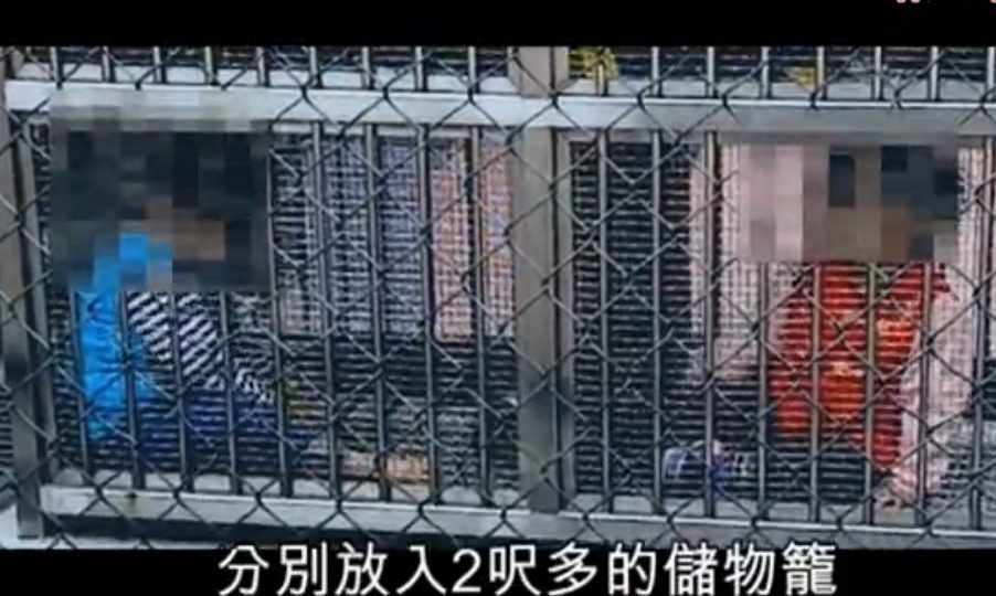 The two young children sitting inside their respective cages at the Maple Street Playground in Sham Shui Po. Screenshot: Apple Daily