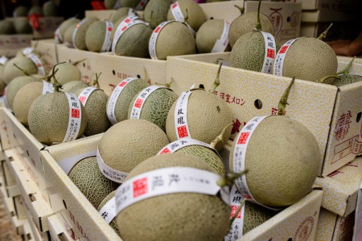 Premium Japanese melons, each costing USD15 (120 HKD), are displayed at the Yau Ma Tei fruit market in the Kowloon district of Hong Kong. Photo: Anthony Wallace / AFP