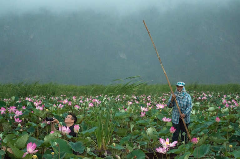 A tourist takes a photo of lotus flowes while on a canoe in Sam Roi Yot National Park. Photo: Roberto Schmidt/ AFP