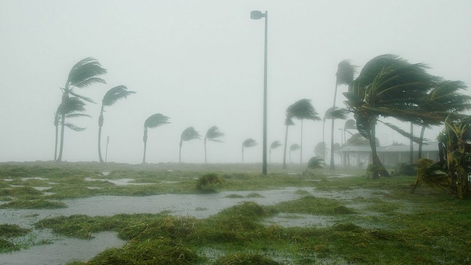 Wind Florida Key West Windy Storm Hurricane Dennis
