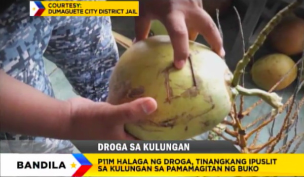 The police got suspicious because of the “windows” on the coconuts. PHOTO: ABS-CBN News