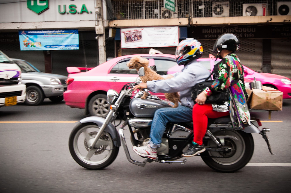 At least these guys are wearing helmets. Photo: Coconuts
