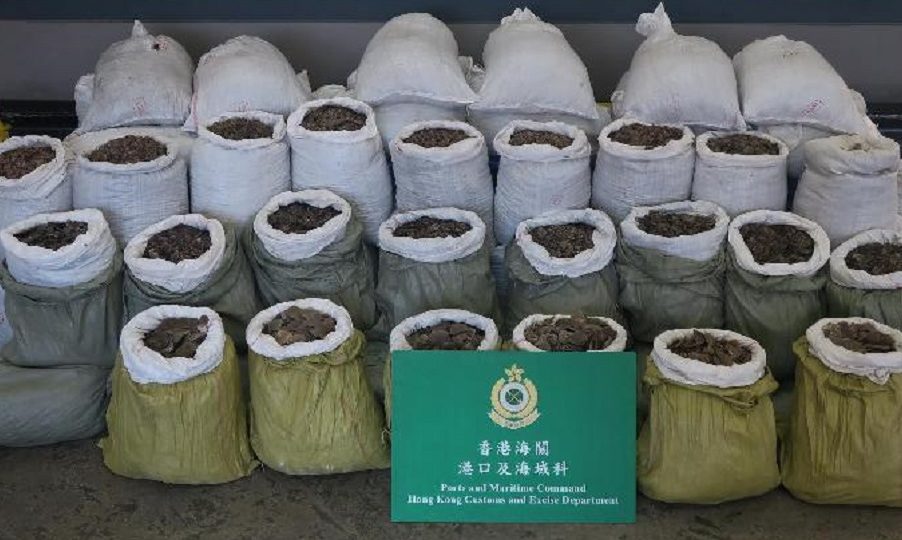 Hong Kong Customs seized about 7,200 kilograms of suspected pangolin scales with an estimated market value of HKD4.6 million on Monday. Photo: Hong Kong Government