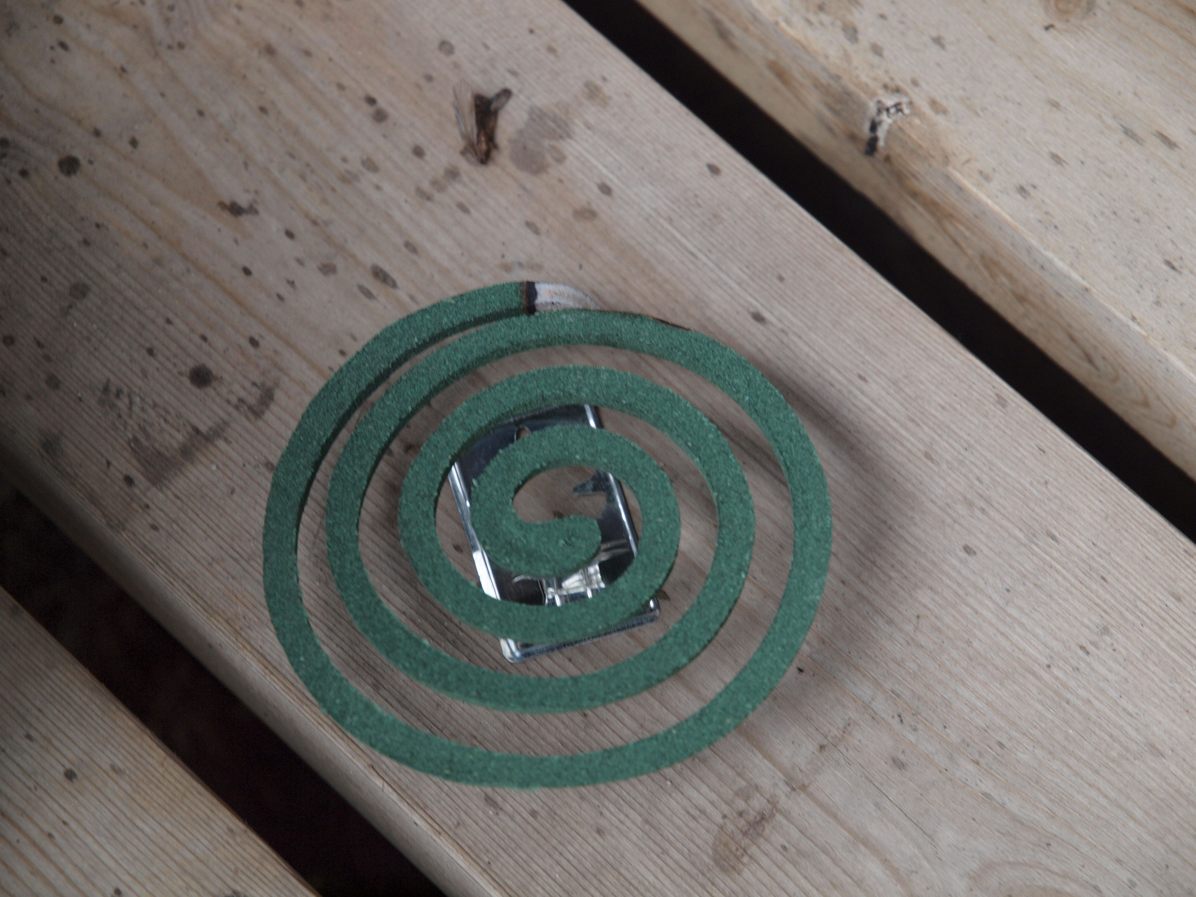 The school claims that the fire originated from a mosquito coil. Photo: WikiCommons / JIP
