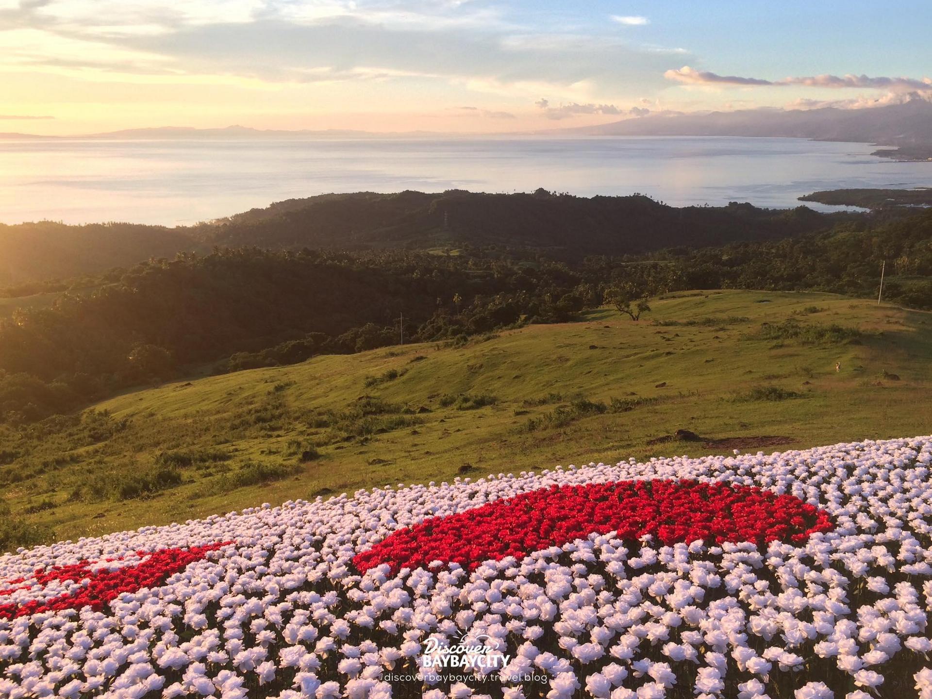 On top of a hill overlooking Camotes Sea, BayBay City’s newest attraction entices tourists with 16,000 LED roses. PHOTO: Facebook/Discover Baybay City
