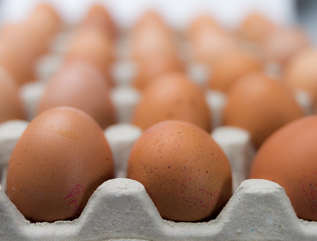 Eggs, a lot of them. Photo: Pixabay