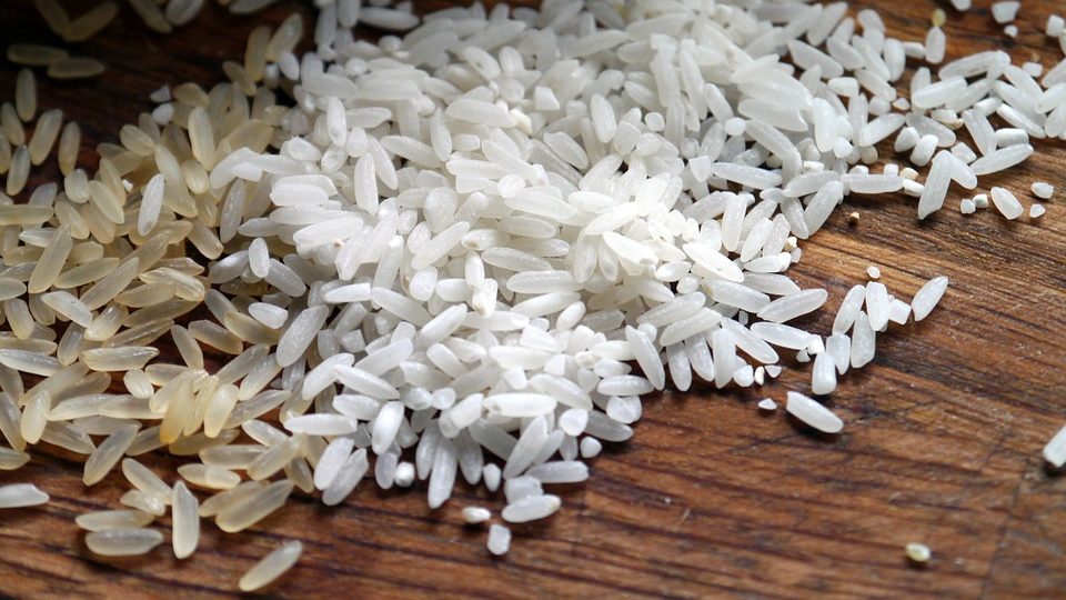 Allegedly real rice