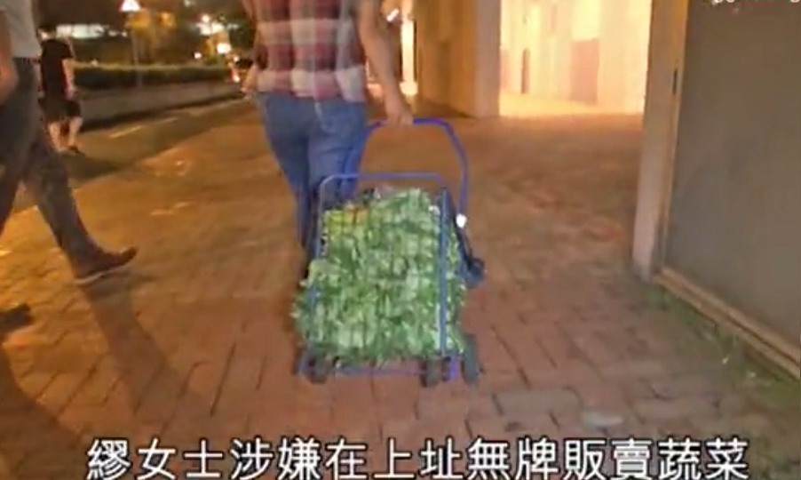 Miu offered her friends a catty of sweet potato leaves she picked from her mother’s farm. Screenshot: Apple Daily