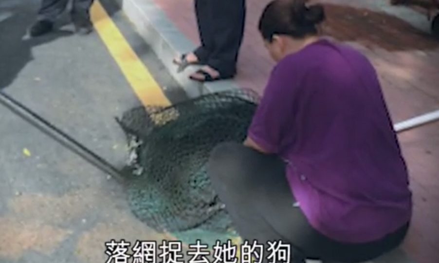 The woman, who is two months pregnant, said she was kicked in the stomach by mainland law enforcement officers when she tried to protect her dog. Screenshot: Apple Daily