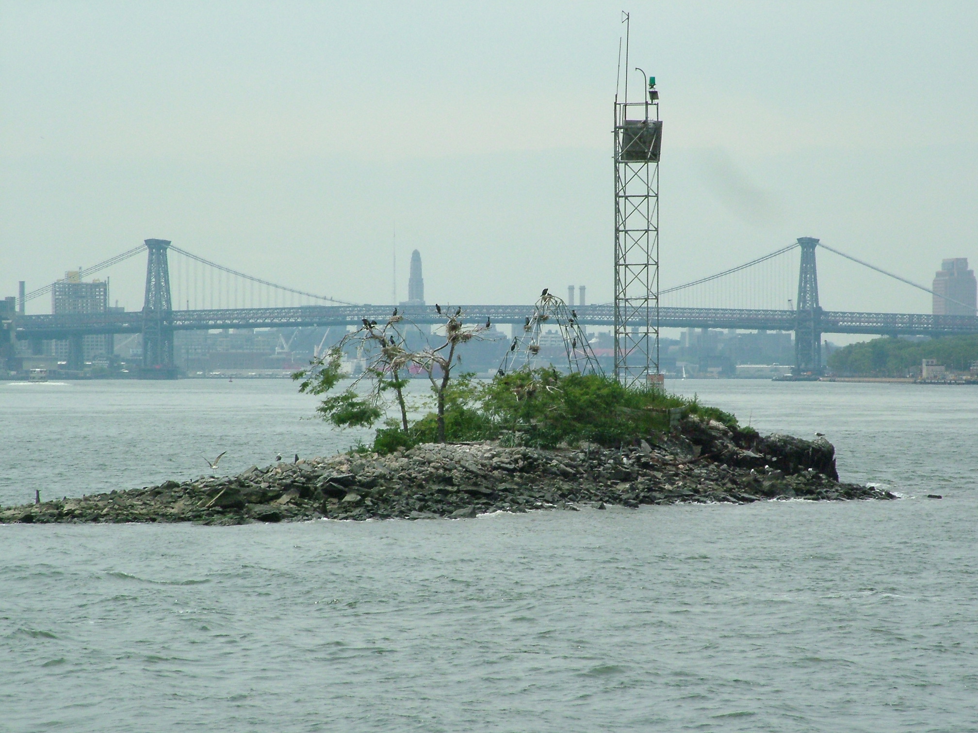 U Thant Island from the north, with the Williamsburg Bridge in the background. Photo: Wikimedia Commons / Pacific Coast Highway