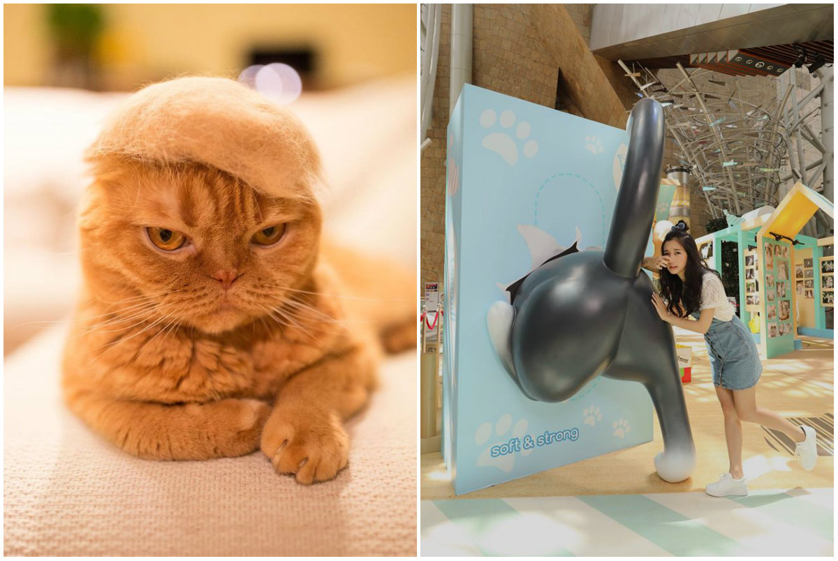 One of the attractions is a series of pictures from Japanese cat hat-maker Ryo Yamazaki, who fashioned this hellish furry toupee after the US presidential election. 
Photos: Rojiman/Langham Place via Facebook