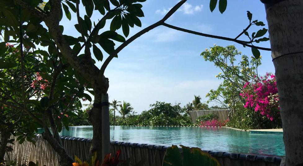 A pool at the Rimba hotel in the Ayana Resort complex. Photo: Coconuts Bali
