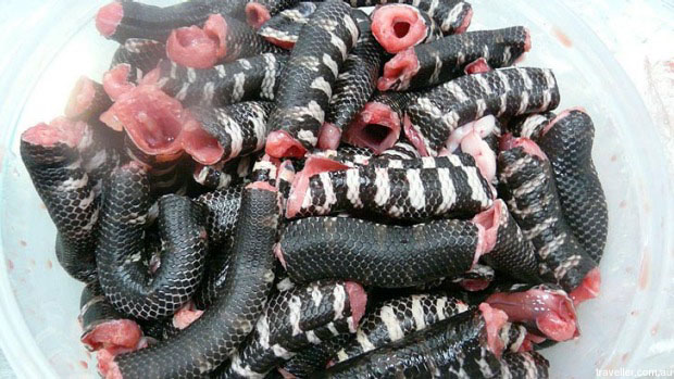 An example of the kind of snake meat that might be served in restaurants. Photo: Facielo blog. 