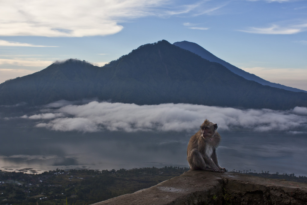 A monkey sits before Mt. Agung. Photo: Flickr