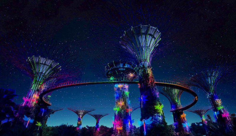 Flight of the Dragonflies. Photo: Gardens by the Bay