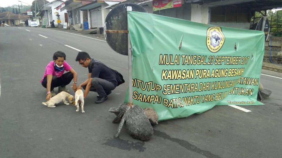 Members of the JAAN rescue team feed animals left behind in Bali by evacuees. Photo via JAAN