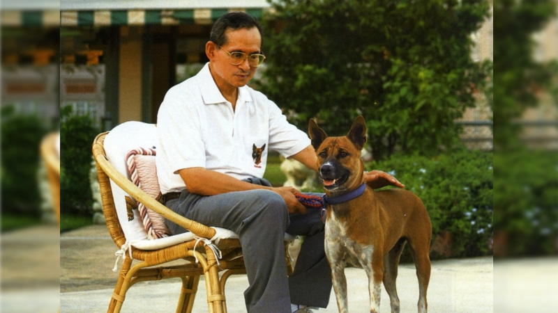 A file photo of King Bhumibol Adulyadej and his dog ‘Khun Tongdaeng.’