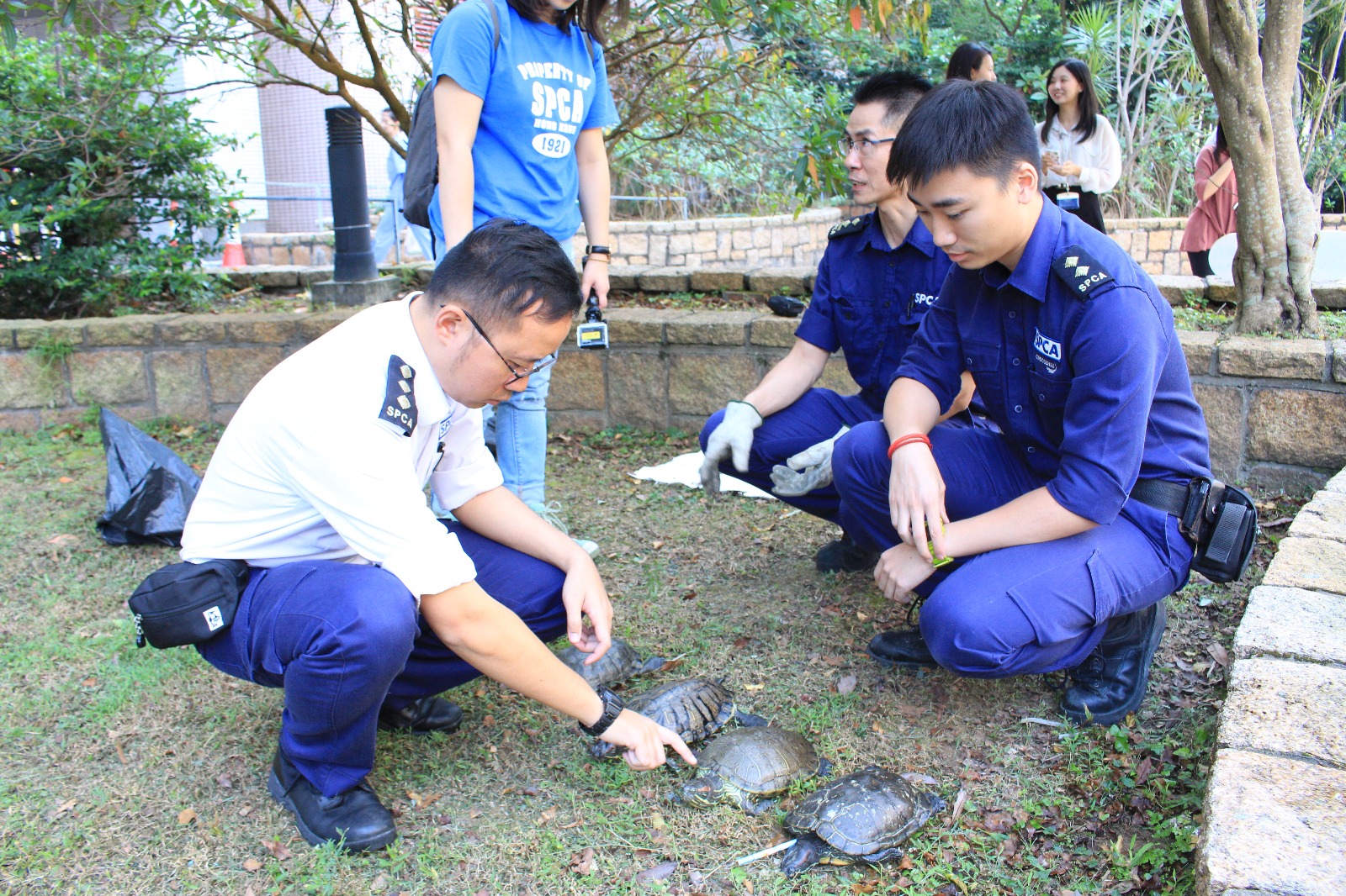 SPCA officers recovering the turtles. Picture SPCA