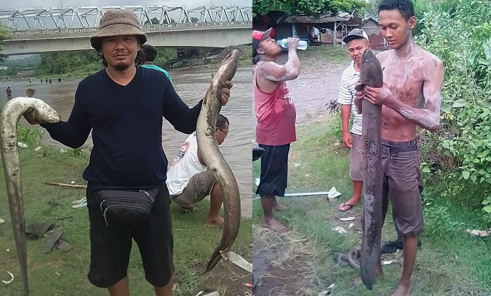 Fish have been coming dead, down Bali’s Unda River, which reportedly has a stinging odor of sulfur. Photos via Facebook/Ary Kencana