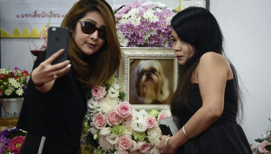 This photo taken on September 14, 2017 shows Pimrachaya Worakijmanotham (L) and her friend taking a selfie with a photo of Dollar, her 6-year-old Shih Tzu dog, during the pet’s funeral. PHOTO: Lillian Suwanrumpha, AFP