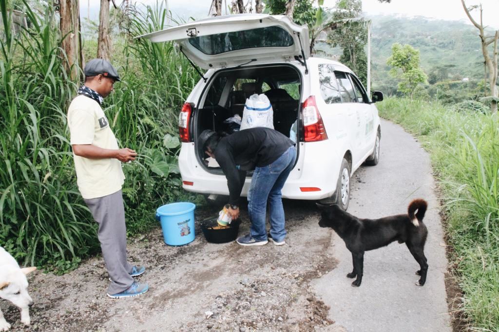 BAWA feeding dogs at Mount Agung