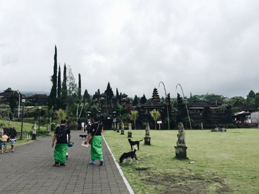 BAWA feeding dogs at Mount Agung