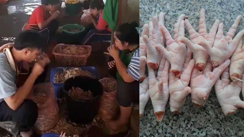 Image result for Thai factory workers caught using their MOUTHS to process chicken feet!"