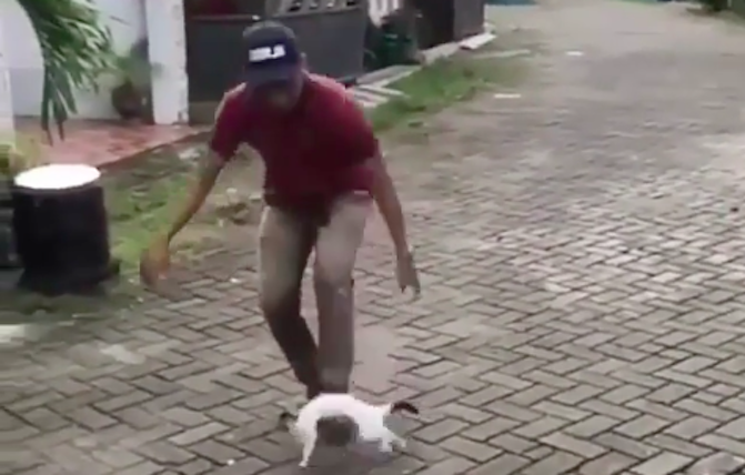Video screengrab showing an Indonesian teenager playing keepy-ups using a cat. Photo: Instagram/@doniherdaru