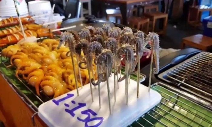 Pattaya vendor offering barbecued seahorses forced to shut down | Coconuts