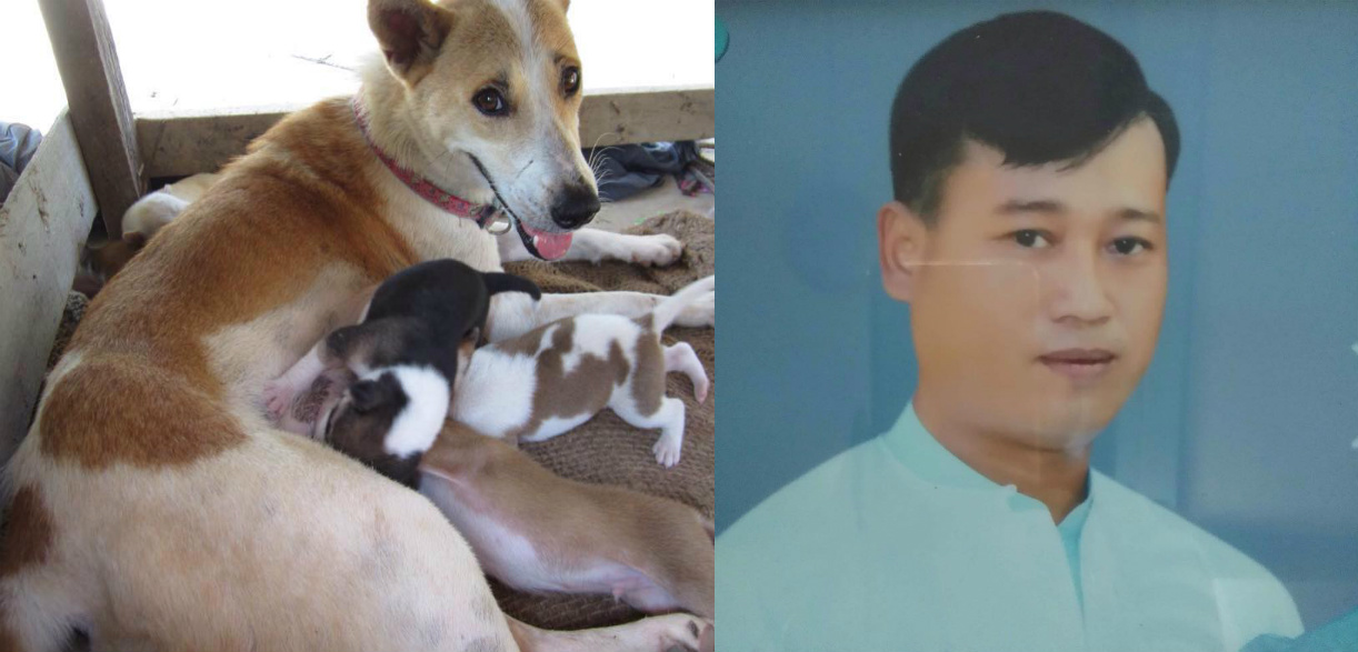 Ko Zaw Wun and the family of dogs he was caring for before he died. Images via Daw Mya Lay Khin.