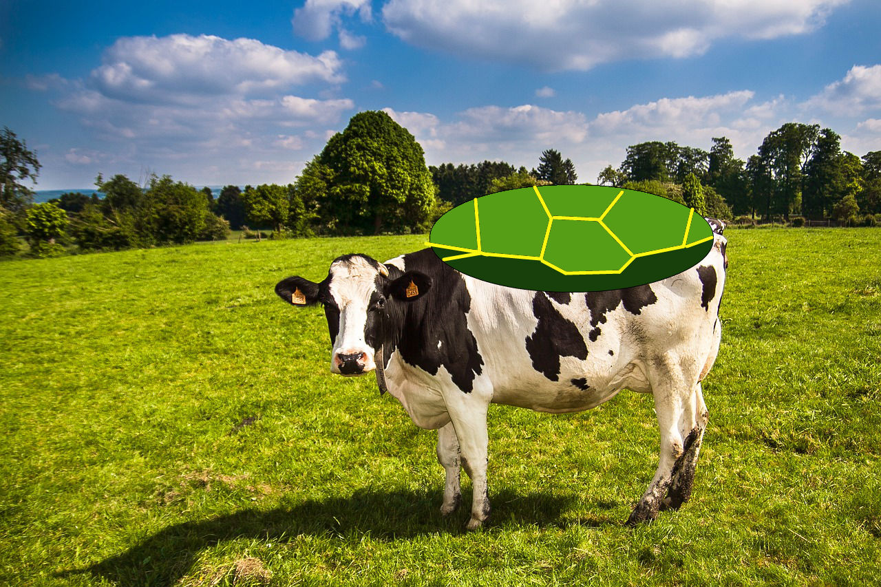 Not the actual turtle that was supposedly birthed by a cow. Photo illustration for comedic purposes only.