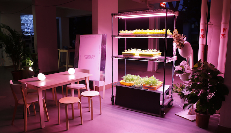 An LED hydroponic garden by Ngee Ann Polytechnic students