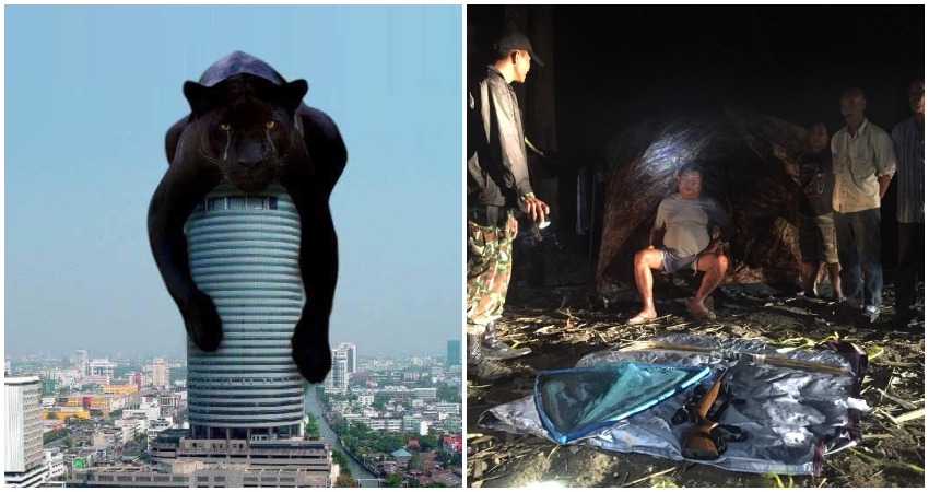The viral panther photo (left) and Premchai at the scene of the alleged crimes (right).