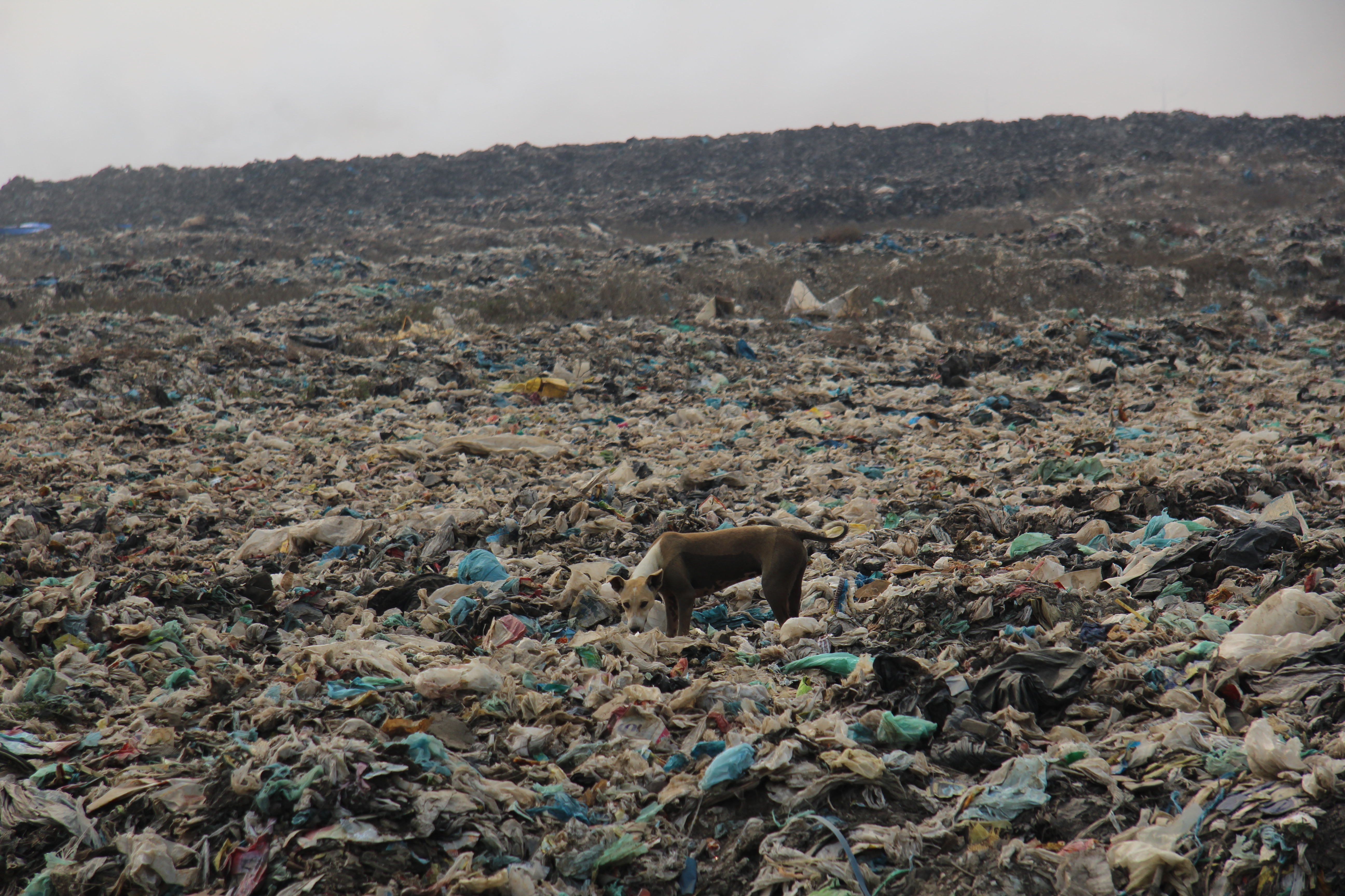 unburnt section of the Htein Bin landfill