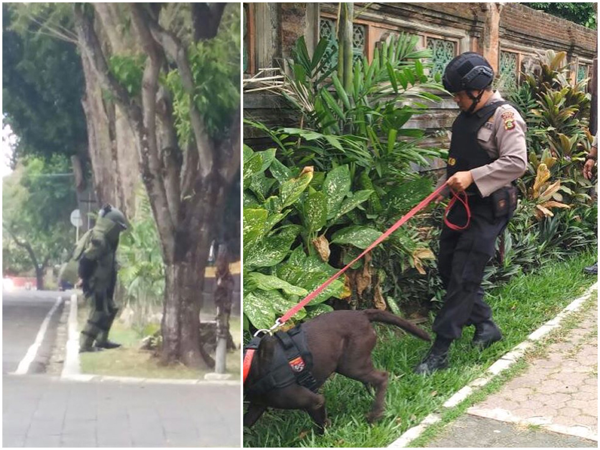 The bomb squad and a K-9 unit checked out the governor’s office this morning. Photos: Direktorat Sabhara Polda Bali